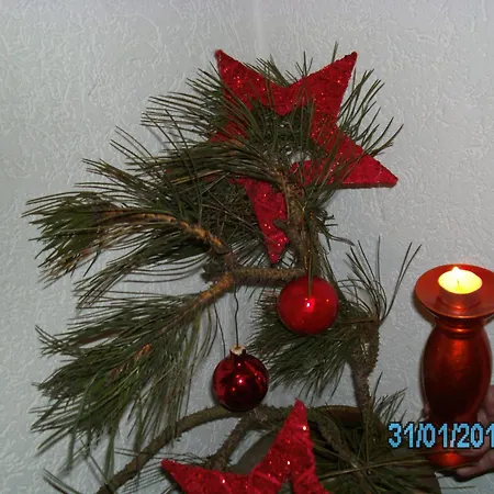 Zur Tanne Nocleg ze śniadaniem